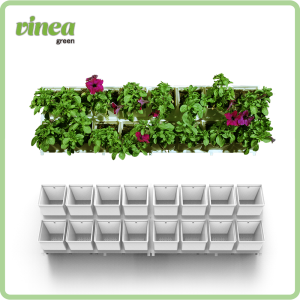 קיר ירוק 16 צמחים