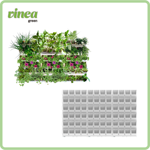 קיר ירוק 72 צמחים