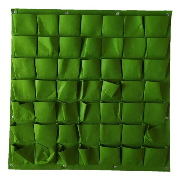 קיר ירוק בד מטר מרובע 49 צמחים ראשי