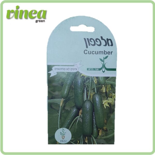 זרעי מלפפון Cucumber