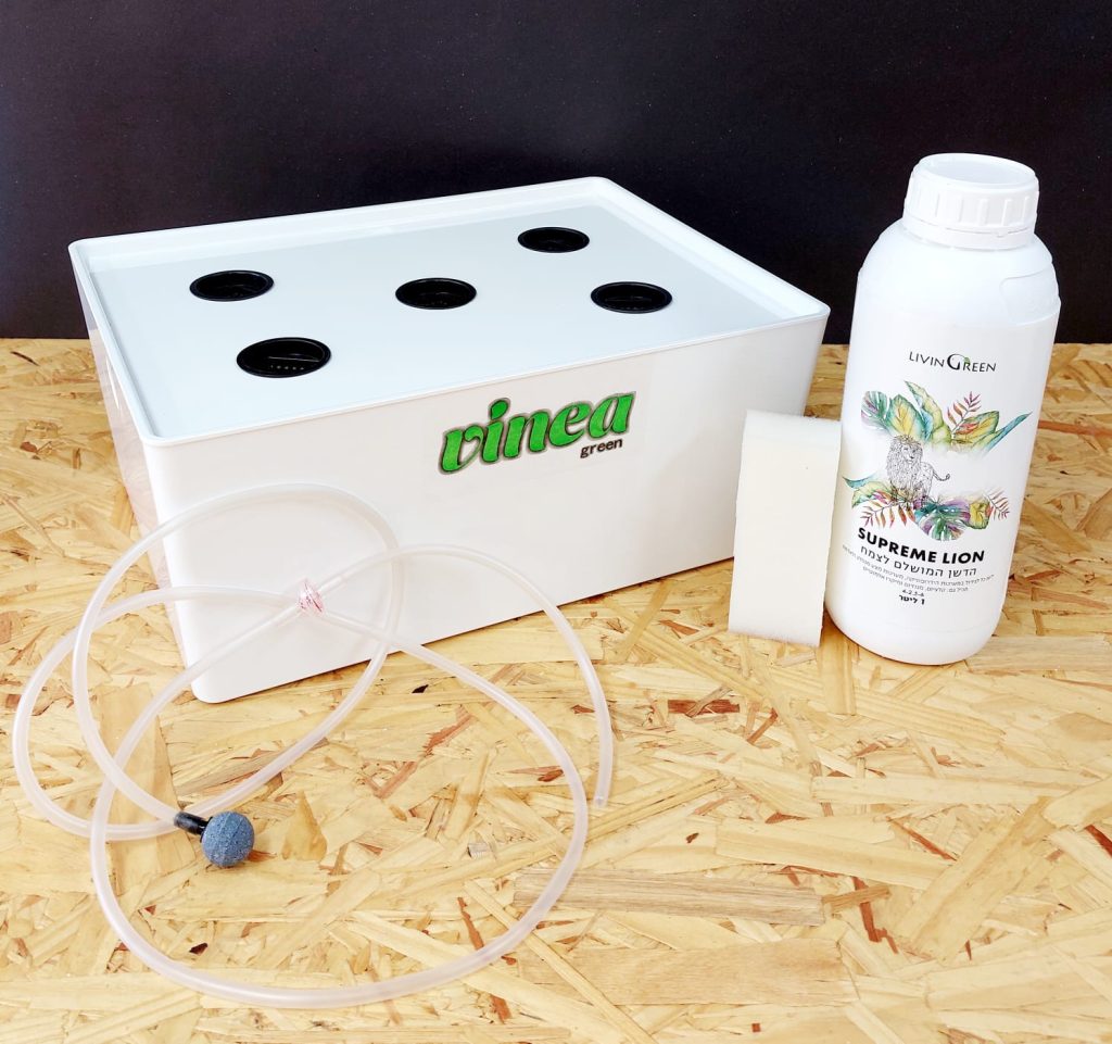 DWC וינאה בוקס L