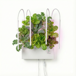מערכת הידרופונית 12 צמחים לבית או למשרד