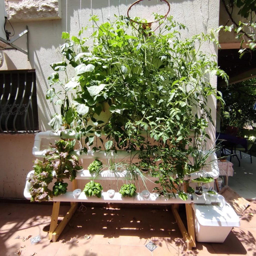 מערכת הידרו 40 צמחים