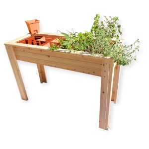 גינה מוגבהת 12 צמחים בית נפרד לכל צמח