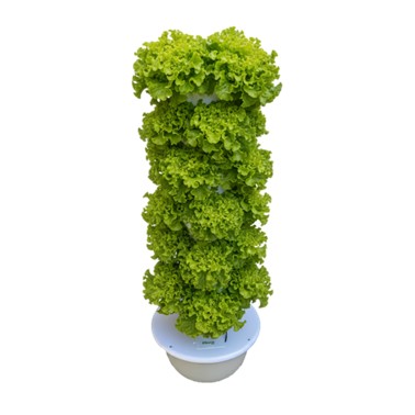 מגדל הידרופוני פתרון מושל לגידול ירקות