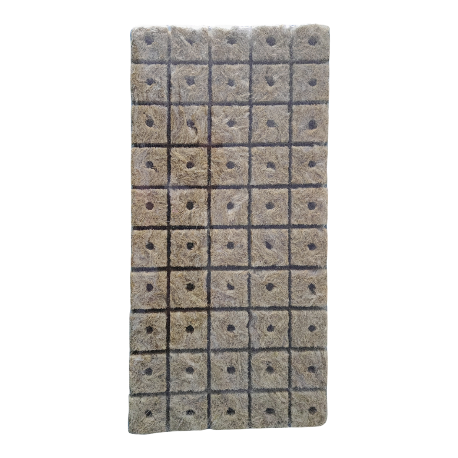 קוביות צמר סלעים להנבטה