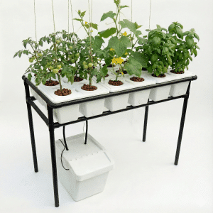 גינה הידרופונית מוגבהת