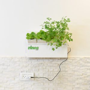 מערכת הידרופנית במטבח