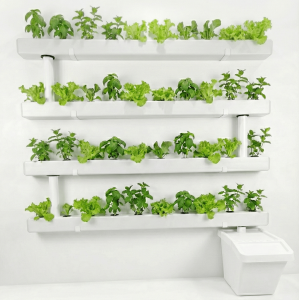 מערכת הידרופוניקה מרובעת 12X12