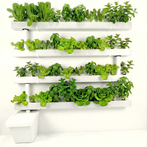 מערכת הידרופוניקה מרובעת 15X15