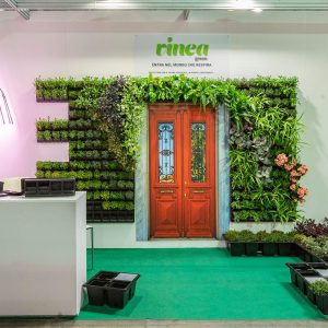 קיר ירוק מסביב לדלת