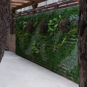 קיר ירוק בירושלים