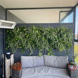 קיר ירוק במרפסת בחולון