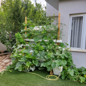 מערכת הידרו 40 צמחים