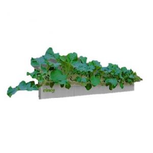 מערכת הידרופוניקה 20 צמחים ראשי