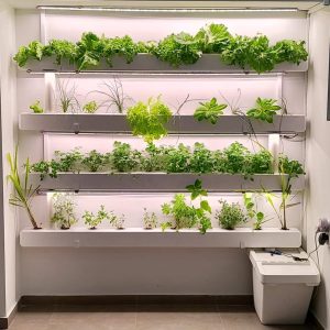 מערכת הידרופונית 12X12 ס"מ 2 מטר